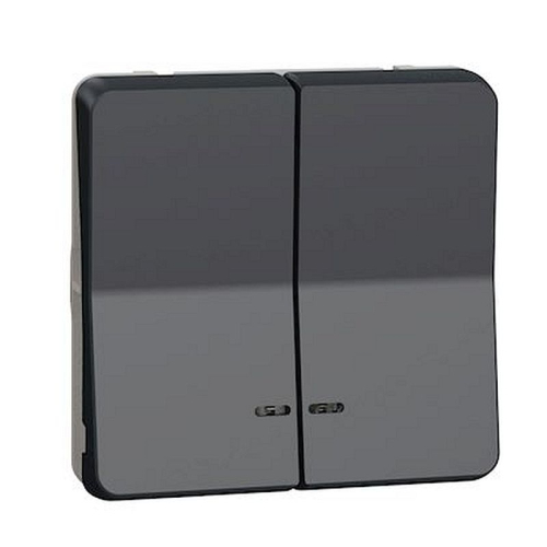 Mureva Styl - Dble bouton poussoir lumineux LED - composable - IP55 IK07 - gris-MUR35228-3606480789434-SCHNEIDER ELECTRIC FRANCE