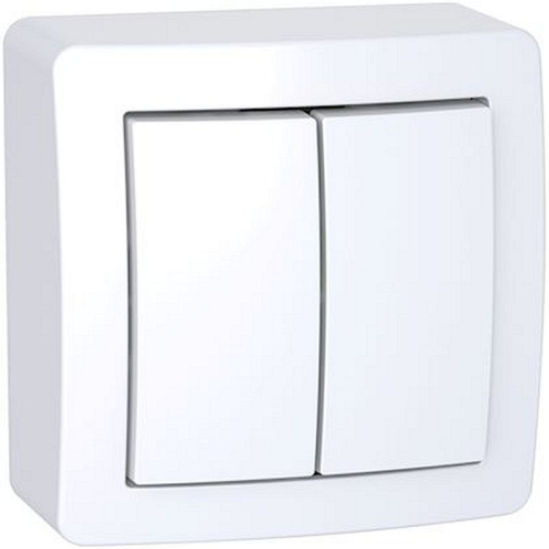 Alréa, Double va-et-vient avec cadre saillie, blanc polaire-ALB62056P-3606480705946-SCHNEIDER ELECTRIC FRANCE