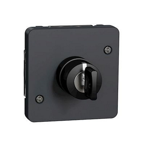 Mureva Styl - Interrupteur à clé 3 positions - composable - IP55 - IK08 - gris-MUR35061-3606480789458-SCHNEIDER ELECTRIC FRANCE