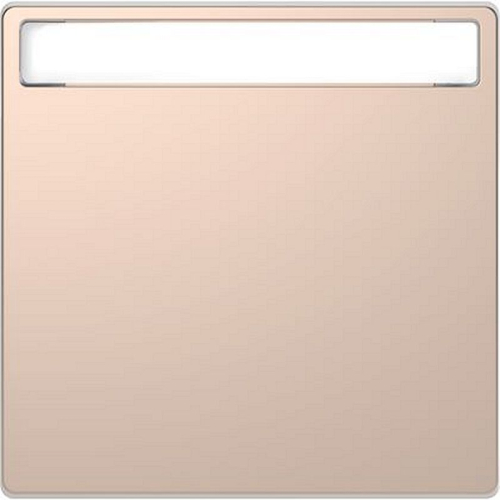 D-Life - enjoliveur pour commande simple avec porte-étiquette - métal champagne-MTN3360-6051-3606480888144-SCHNEIDER ELECTRIC FRANCE
