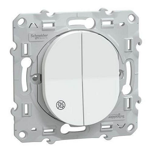 Ovalis - double va et vient - 10AX - Antibactérien-S300214-3606482181311-SCHNEIDER ELECTRIC FRANCE