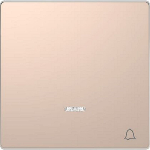 D-Life - enjoliveur pour commande simple voyant et picto carillon - métal champ-MTN3325-6051-3606480888632-SCHNEIDER ELECTRIC FRANCE