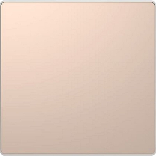 D-Life - enjoliveur pour commande simple sans marquage - métal champagne-MTN3300-6051-3606480888007-SCHNEIDER ELECTRIC FRANCE