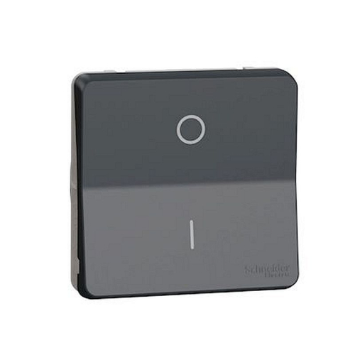 Mureva Styl - Interrupt bipolaire - composable - IP55 IK08 - connex auto - gris-MUR35034-3606480789199-SCHNEIDER ELECTRIC FRANCE