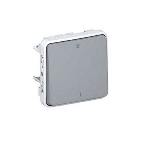 Interrupteur bipolaire étanche Plexo composable IP55 10AX 250V - gris-069530-3245060695309-LEGRAND