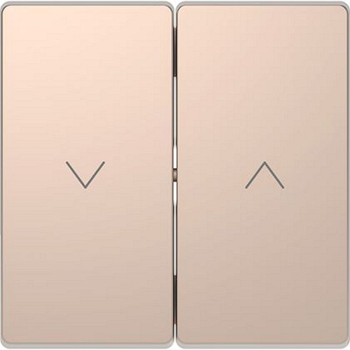 D-Life - enjoliveur pour commande double volets roulants - métal champagne-MTN3855-6051-3606480888427-SCHNEIDER ELECTRIC FRANCE