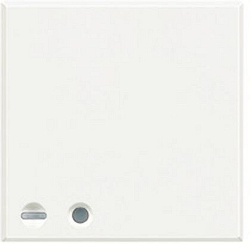 Interface Axolute Radio/ BUS - White-HD4577-8012199987668-BTICINO