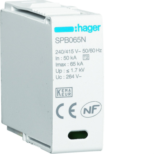 Cartouche N-PE Uc 260V In 20kA Imax 65kA Up 1,5kV-SPB065N-3250615515360-HAGER