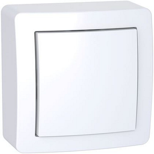 Alréa, Obturateur avec cadre saillie, blanc polaire-ALB62420P-3606480706011-SCHNEIDER ELECTRIC FRANCE