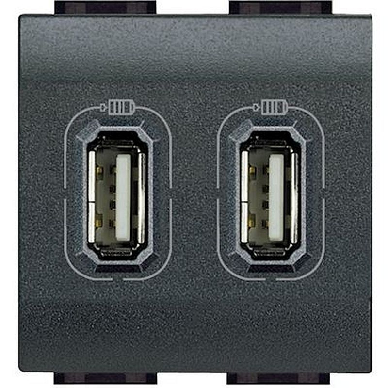 Chargeur 2 USB Type-A 2,4A 5V= Livinglight - Anthracite - 2 modules