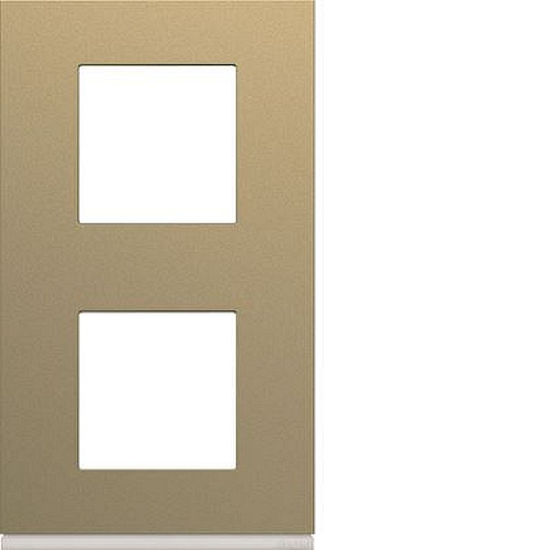 Plaque gallery plastique peint 2 postes verticale 71mm champagne
