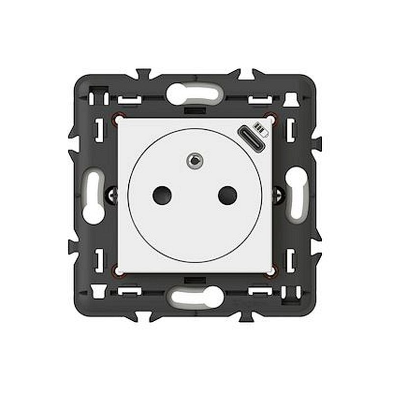 Prise 2P+T Surface avec chargeur USB Type-C Mosaic 2 modules avec support -blanc