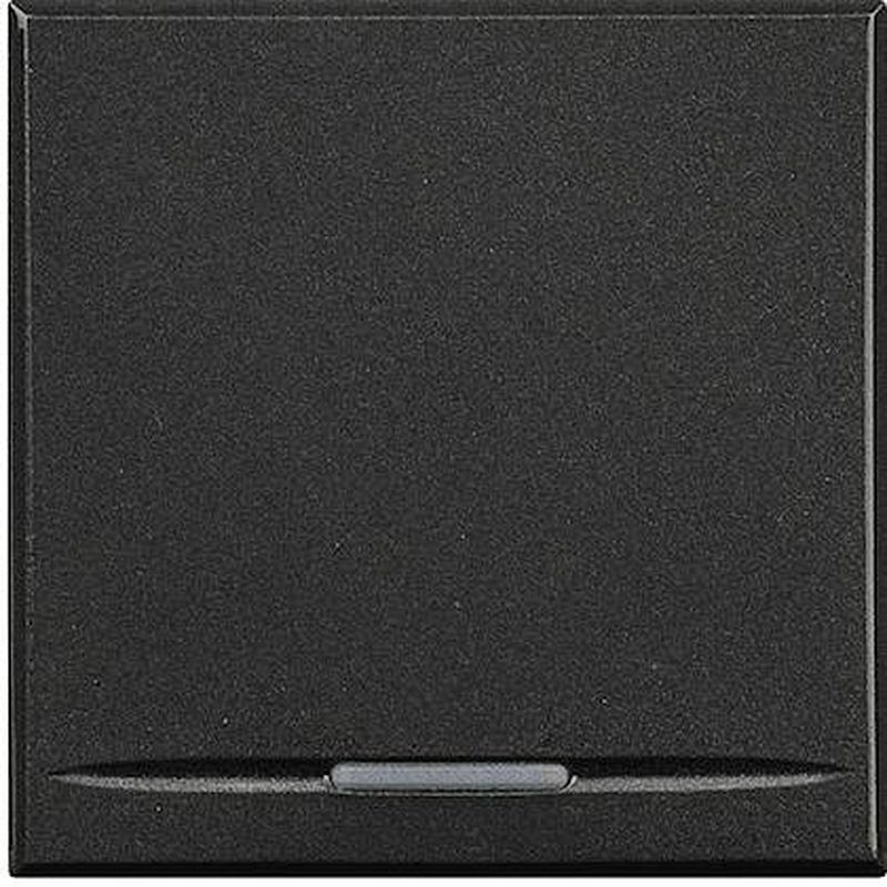 Manette Axolute neutre type poussoir 2 modules - Anthracite