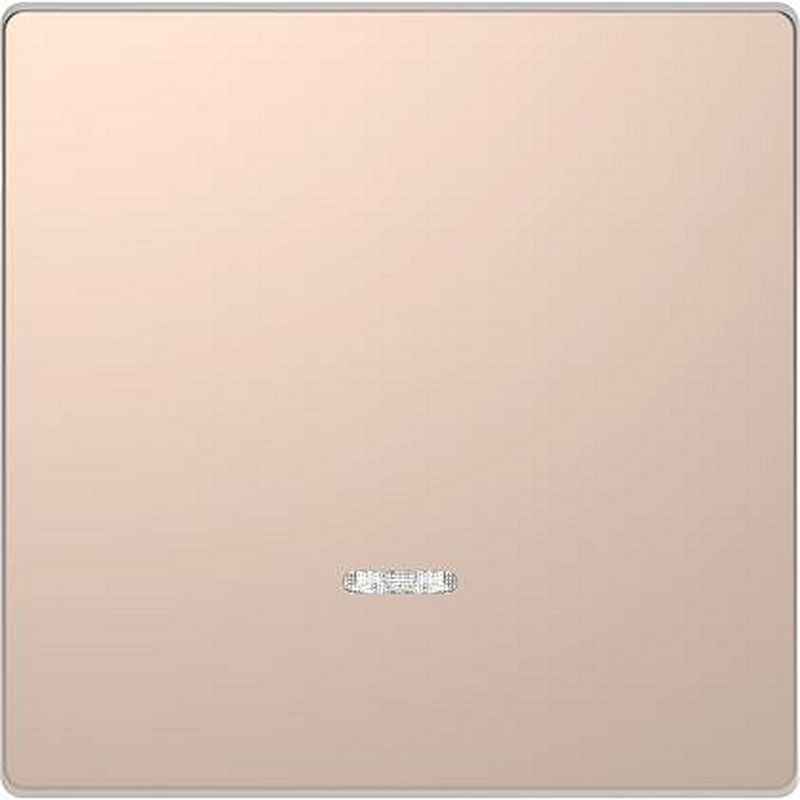 D-Life - enjoliveur pour commande simple avec voyant - métal champagne