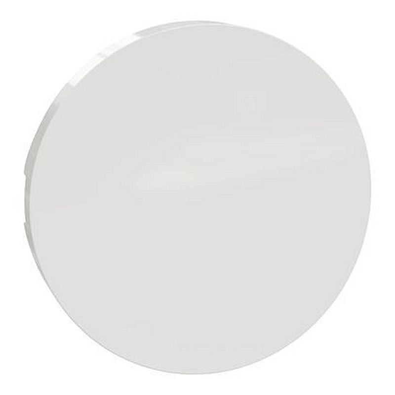 Odace Blanc, enjoliveur seul va-et-vient et poussoir